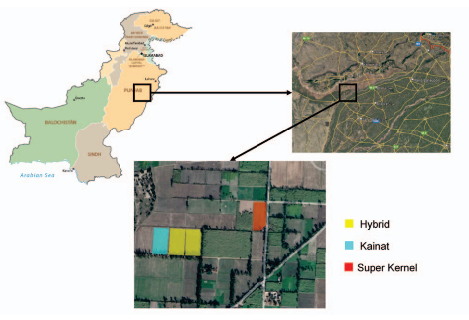 UAV mapping